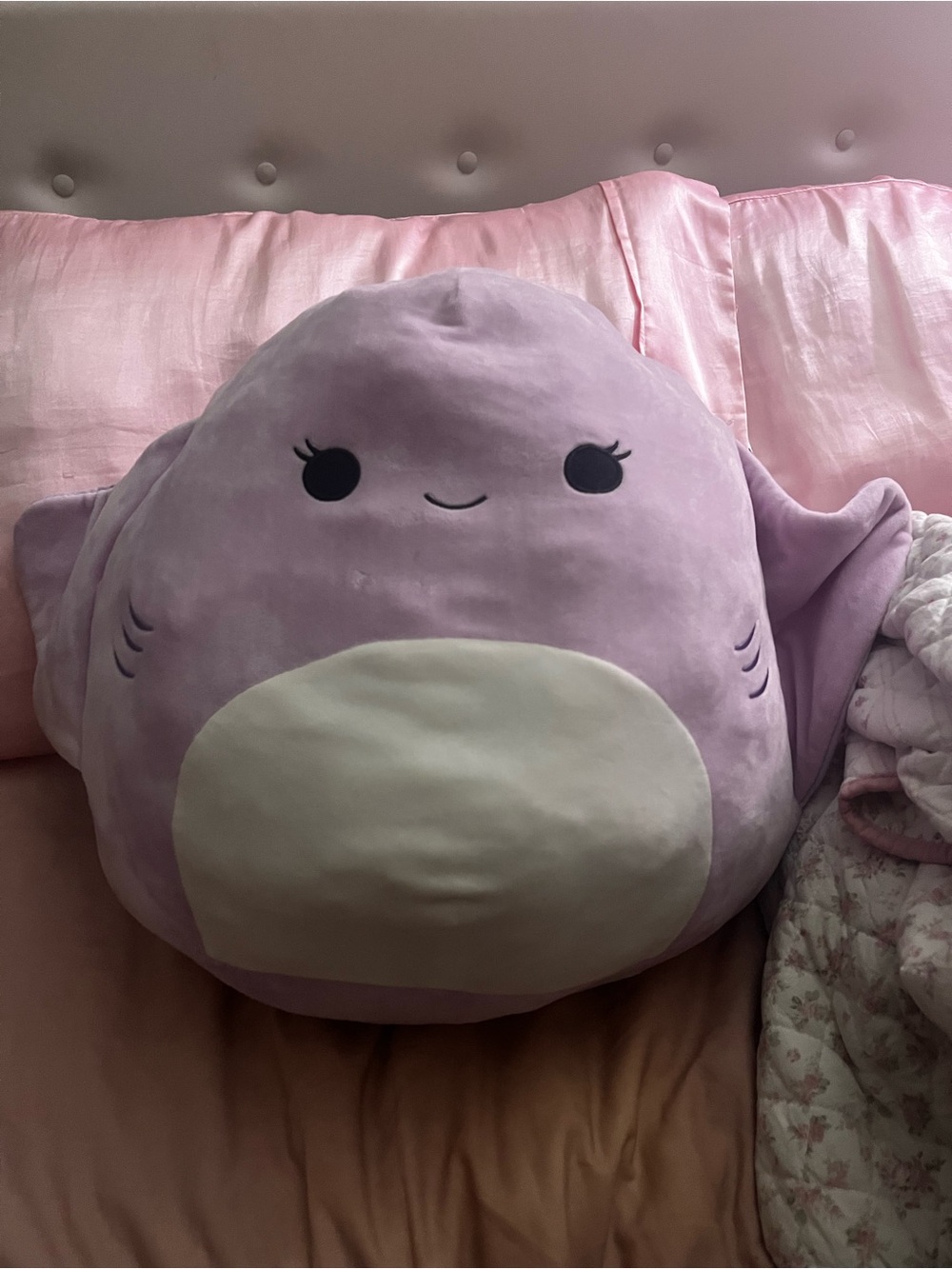 Aziza the shark squishmallow!